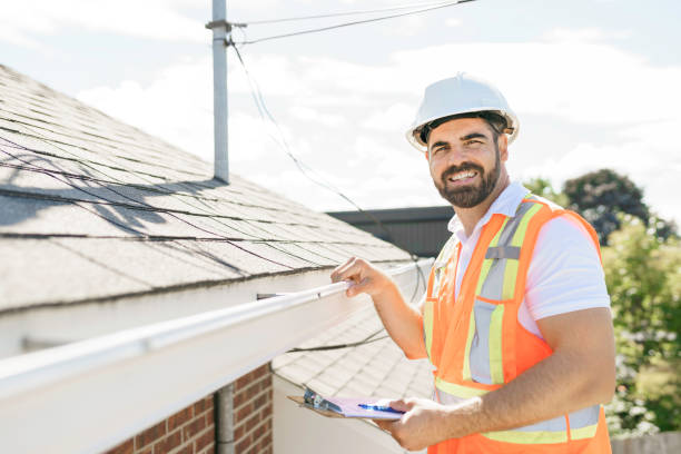 Best Chimney Flashing Repair  in Franklin Grove, IL