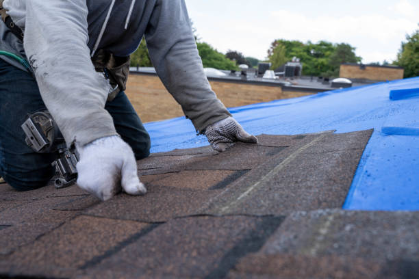Fast & Reliable Emergency Roof Repairs in Franklin Grove, IL